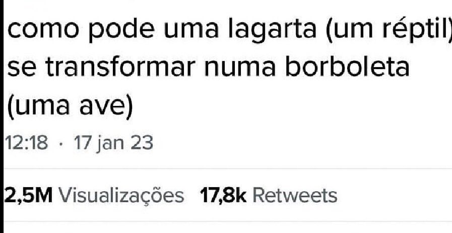 meme burros (ou nada inteligente) (@burraookk) on Twitter photo 