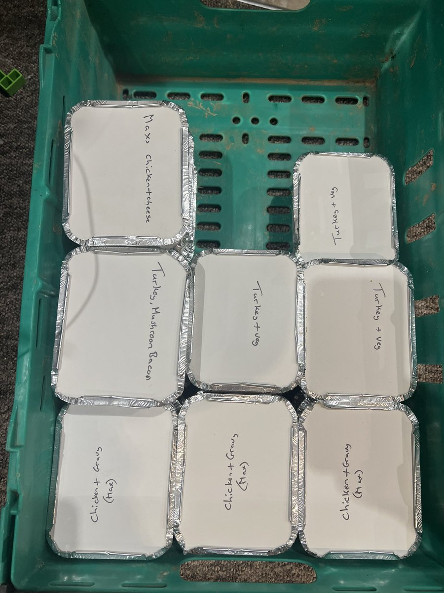 Dan Nattle tweet media