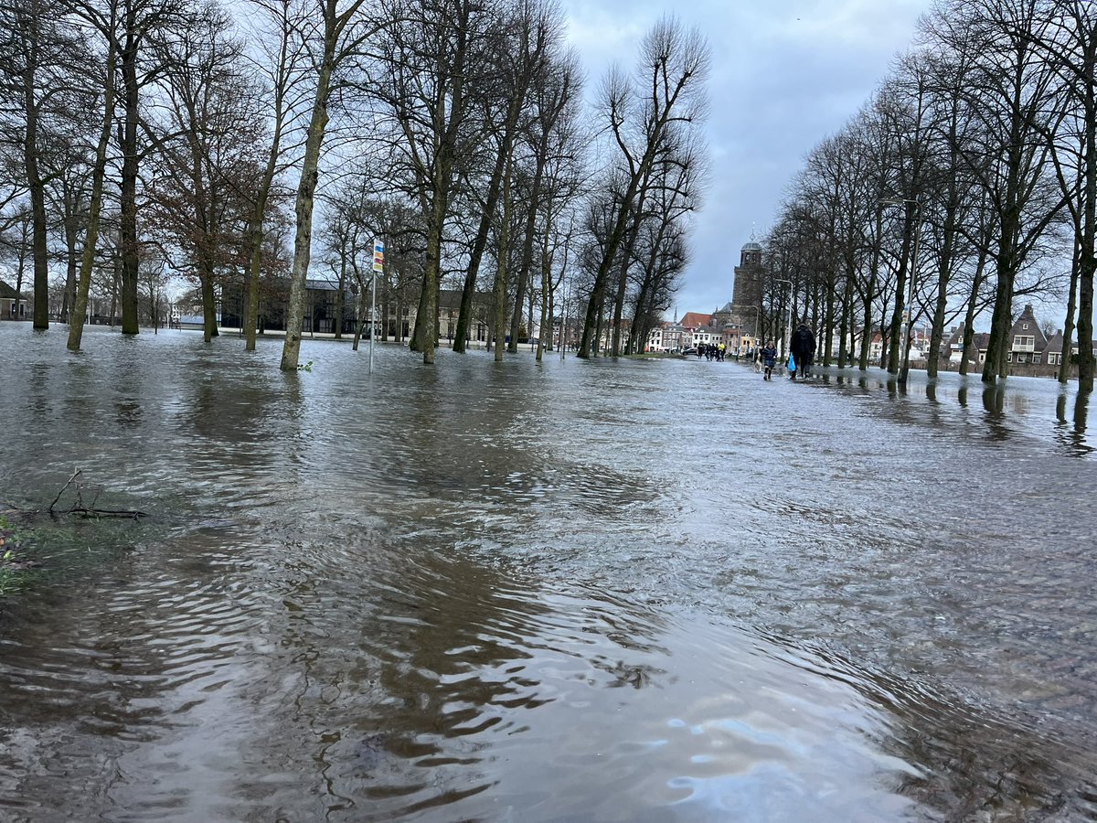 Sylvia Otten tweet media