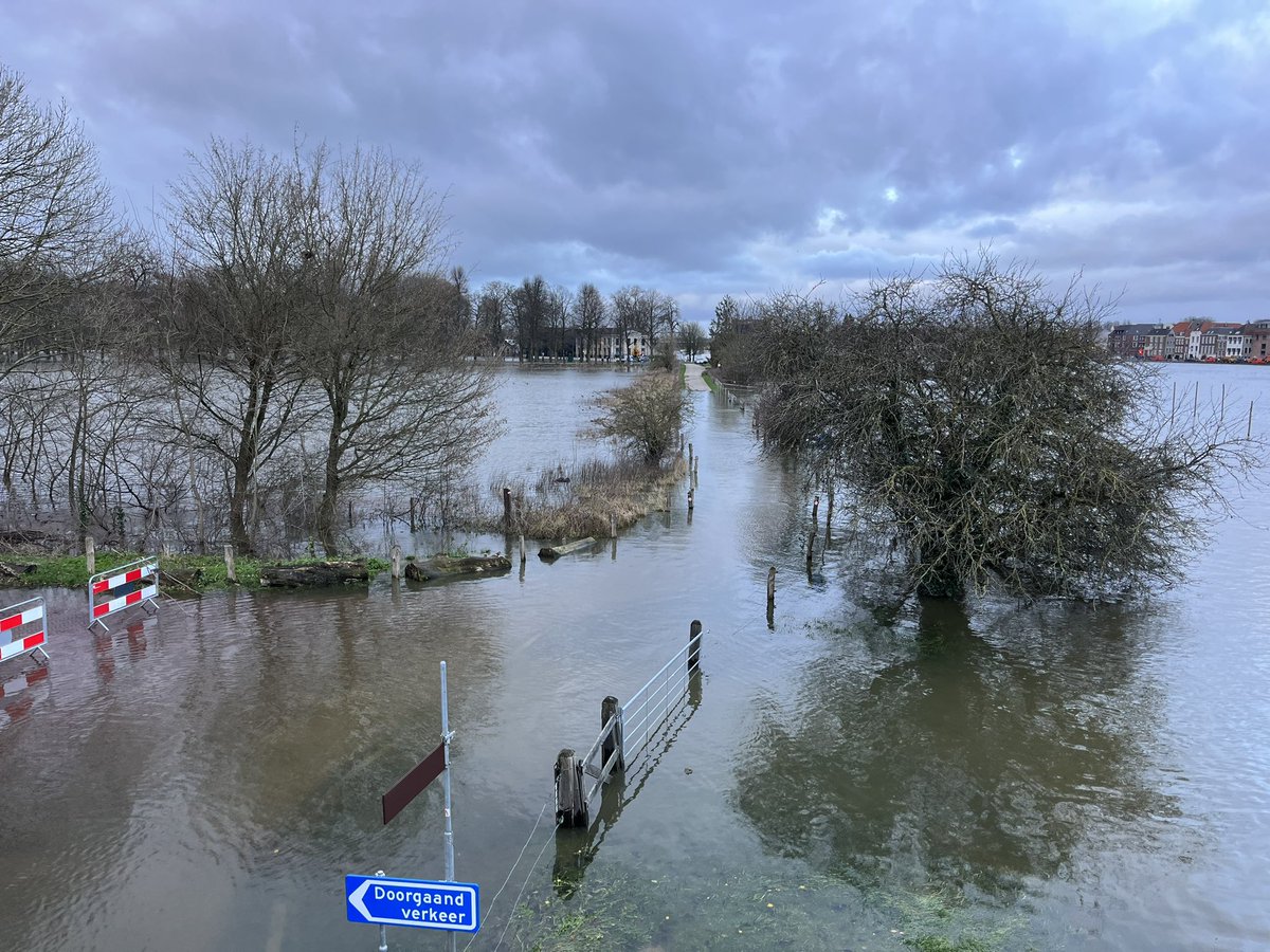 Sylvia Otten tweet media