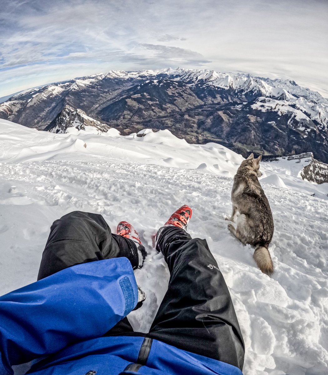 GlobeTrekkeur's tweet photo. Dernière Tournette de 2023… avec les #skiderando.s et ma fidèle copine 🐺 https://t.co/yBmRoZjsgV