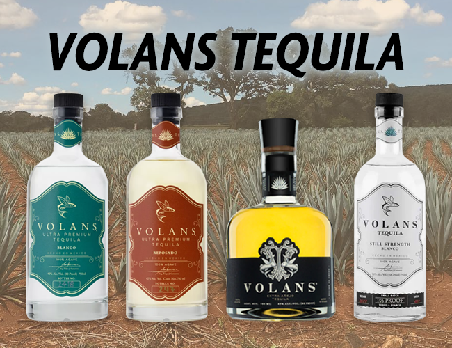 ALL NEW Volans Tequila
Blanco $59.99
Reposado $66.99
6yr Extra Anejo $499.99
Still Strength Blanco $86.99
BUY NOW👉InternetWines.com