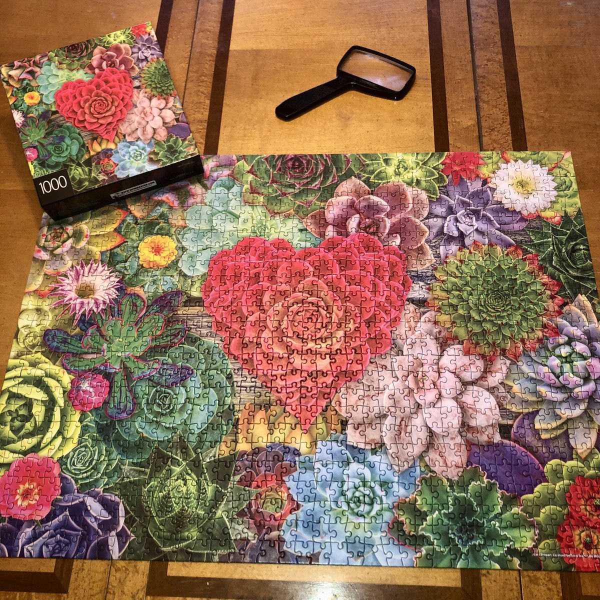 Paperbacks_Plus's tweet photo. ❤️🧩🪷
This 1000 Piece “Succulent” Cardinal Jigsaw Puzzle is headed to the shop!
#succulents #puzzles #puzzle #Cardinalpuzzles #jigsawpuzzle #jigsawpuzzles #puzzleart #games #puzzles #puzzle #puzzlelover #jigsawpuzzle #puzzleobsessed #ilovepuzzles #wehavepuzzles #puzzled #me https://t.co/GZiAOxtBnh
