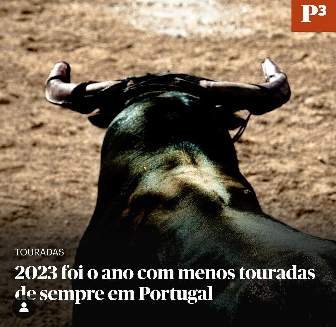 2024 podia ser o primeiro ano sem touradas. Tortura animal não é cultura, nem entretenimento.