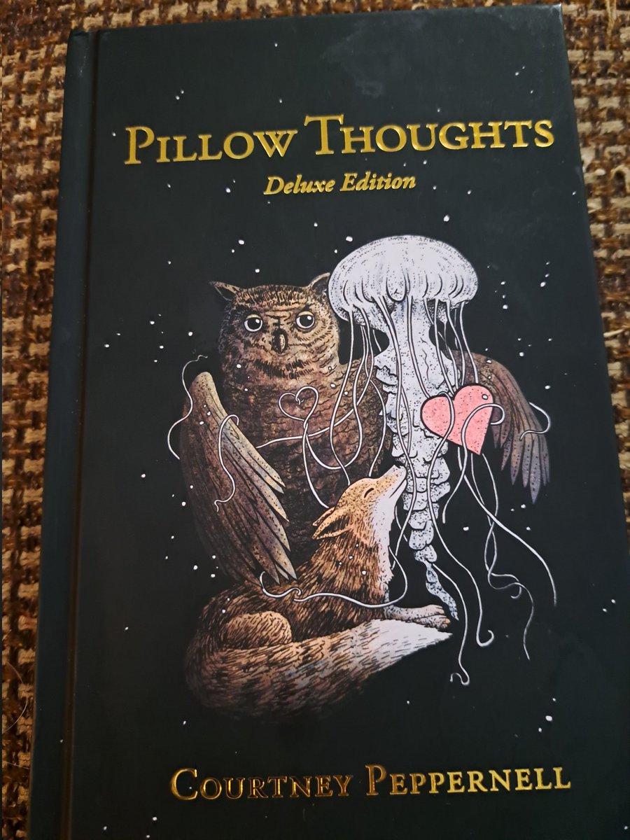 @CourtPeppernell, I received your Pillow Thoughts, Deluxe Edition. I can't express how much I truly love reading the passages. So many beautiful thoughts and inspirations. Thank you for writing this book...