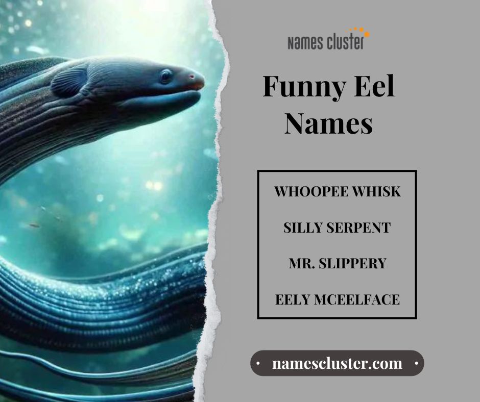 namescluster's tweet image. Funny Eel Names | Dive into the Hilarious Abyss of Funny Eel Names! 🤣🐍 Explore the underwater laughter at NamesCluster.com! #FunnyEelNames #NamesCluster #LaughWithEels #OceanHumor

namescluster.com/eel-names/