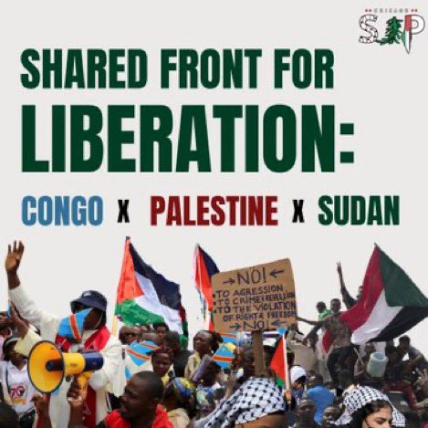 AmiKK30's tweet photo. Thread of accounts to follow and donations links for Palestine, Sudan and Congo 🇵🇸 🇸🇩 🇨🇩 https://t.co/vvUeixYYZ1