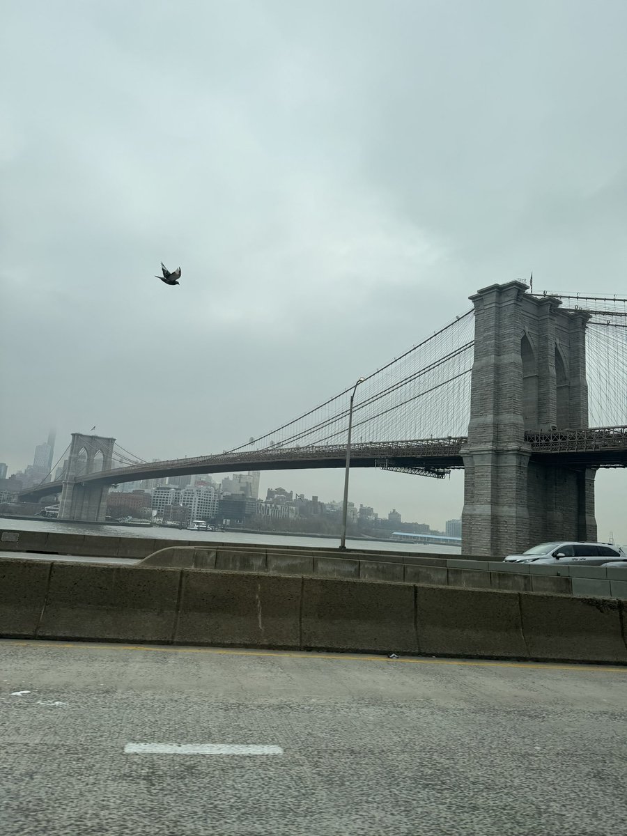 Tibo InShape tweet media