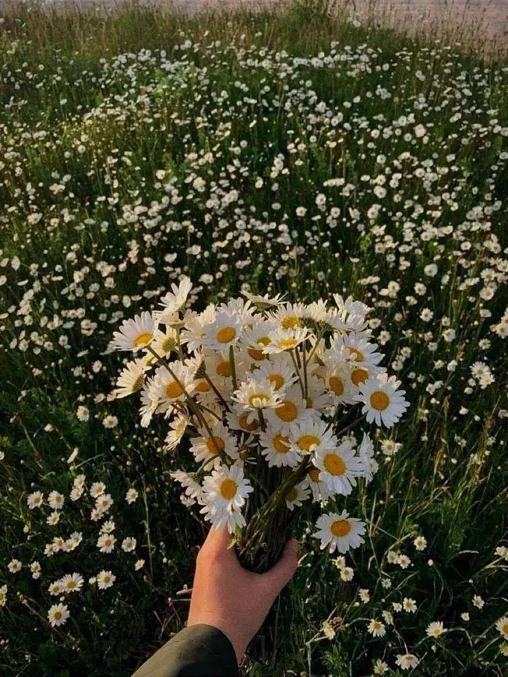 Teenroze_12's tweet photo. Nası gidiyo gençler ses yok kimseden https://t.co/h6Q7InhRWr