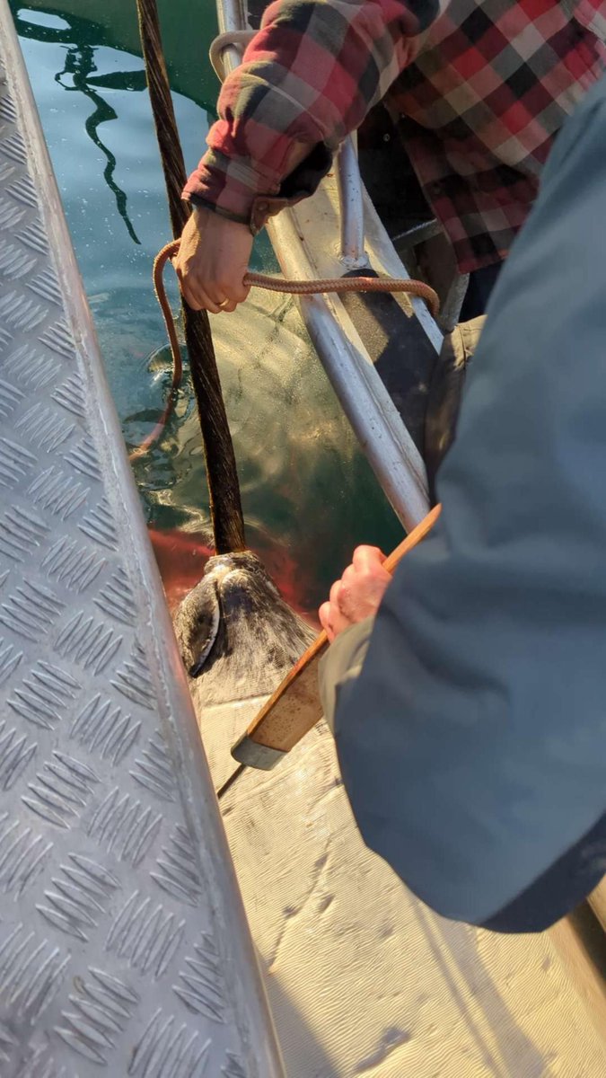 NWMB-Nunavut tweet media