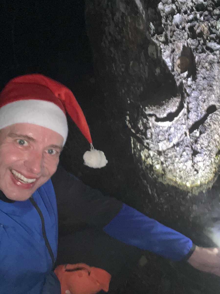 dimensionToGo's tweet photo. Hallooo Christkind 183 🤩 - Der Mampfrun - lecker und schön ist Weihnachten ❤️ - Auf, auf! Ein Lächeln 😀 blitzt nicht von alleine! 👆 https://t.co/yFvtIjS6c5