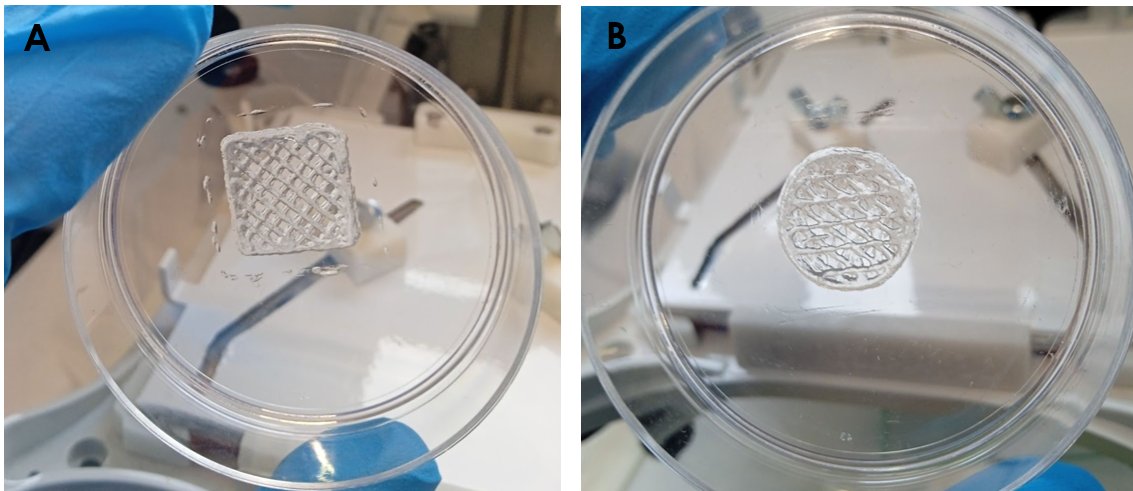 josbaema's tweet image. 🧬3D printing of Fibercoll-FlexA® scaffolds for the culture of fibroblasts @REGEMAT3D

labmethods.org/2023/12/19/3d-…

#bioprinting #labmethods