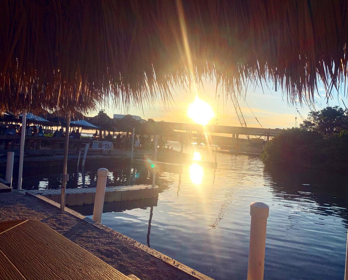 Megos777's tweet photo. Vaca fun♥️🌴🌟 https://t.co/L342VCX9NR