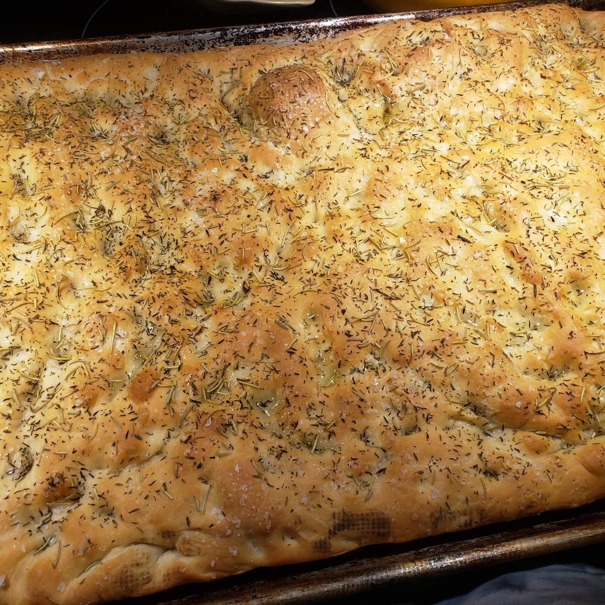Focaccia straight from the oven

#foccacia #bread #homemade #baking #bakingfromscratch #bakedgoods #baker #bakedgoods #oven #waldoboromaine #waldoboro #maine