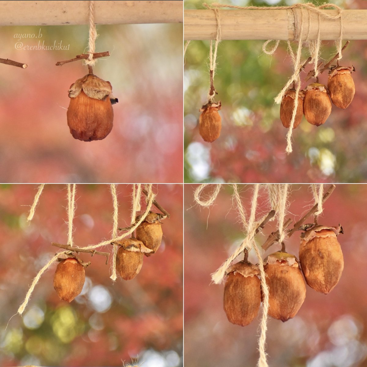 erenbkuchiku1's tweet photo. 干し柿
#DriedPersimmon https://t.co/blbYo5Htaw