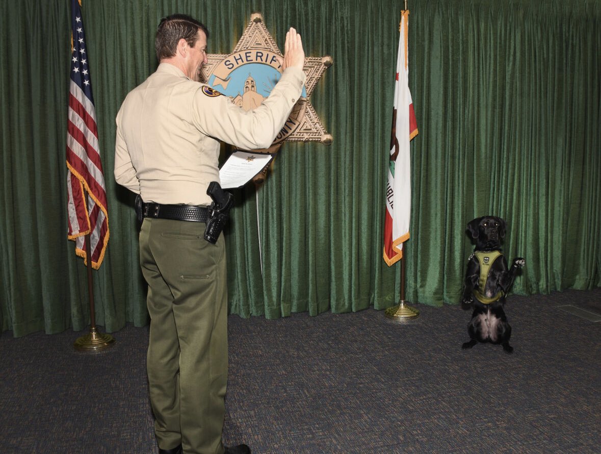 Ventura County Sheriff tweet media