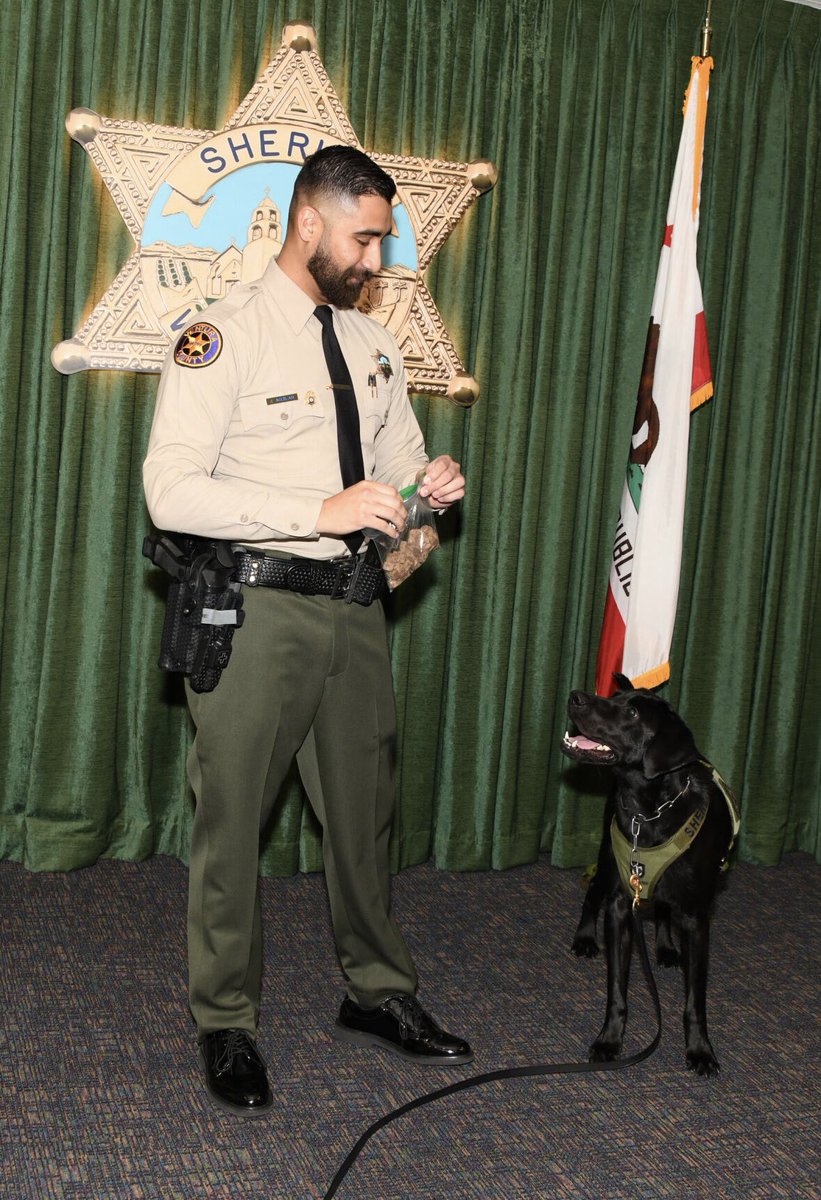 Ventura County Sheriff tweet media