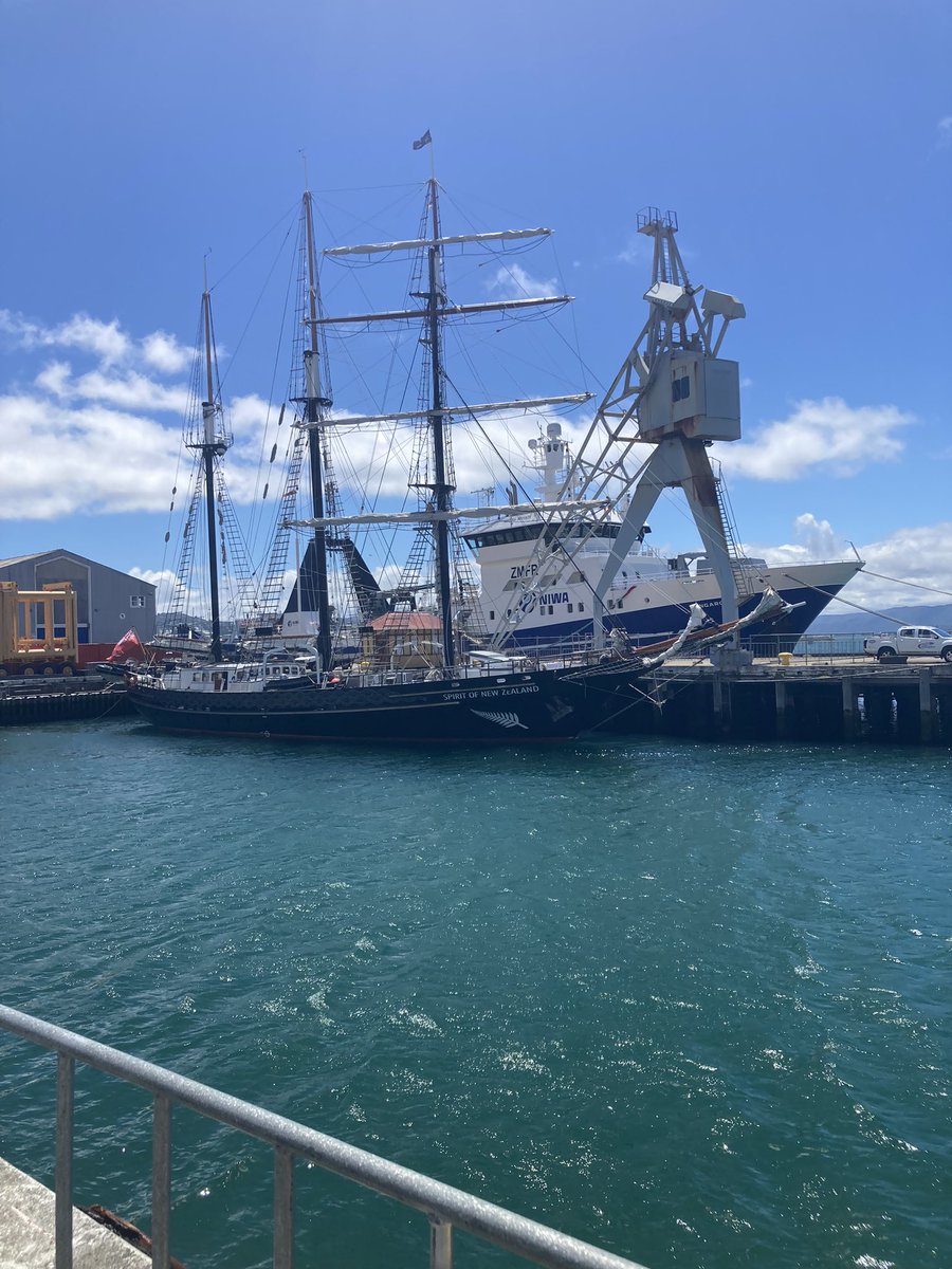 Spirit of New Zealand hanging out in Wellington!