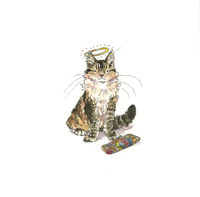 micro pet portraits!!! 