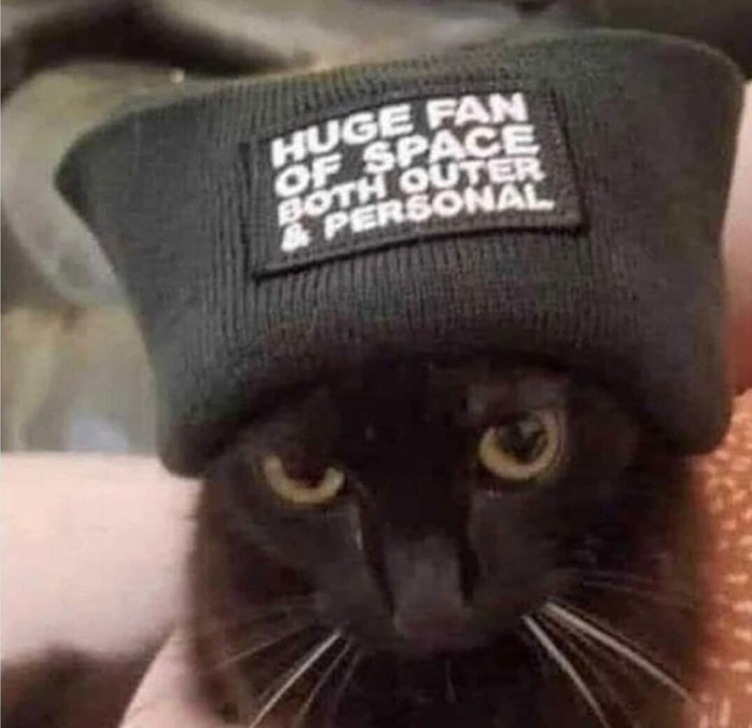 Catsillyness's tweet photo. https://t.co/rCHlqYoQ7I