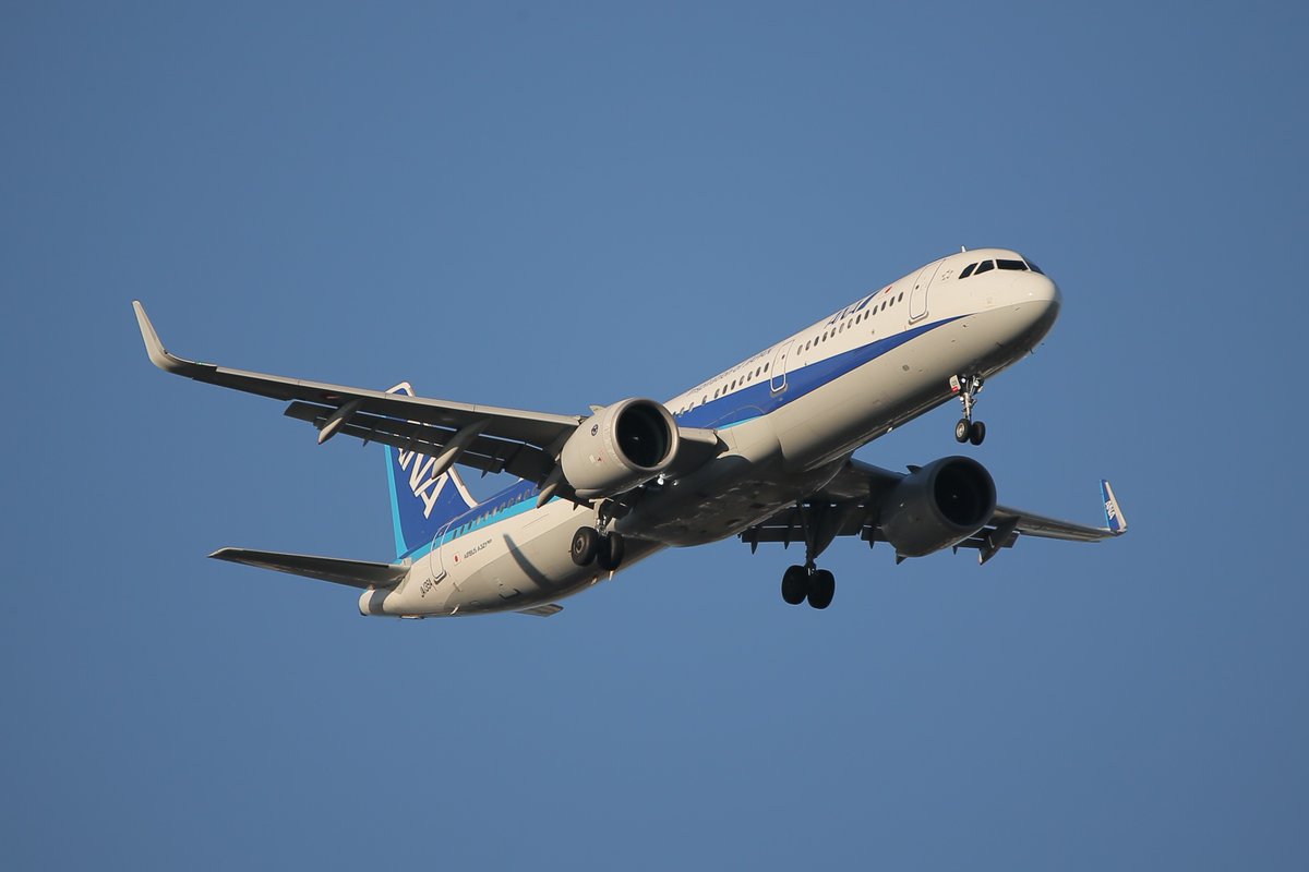 princessarete's tweet photo. #ANA
#JA139A
#NH566
#KCZ_HND
#Airbus_A321_272N https://t.co/EhZsG5fU30