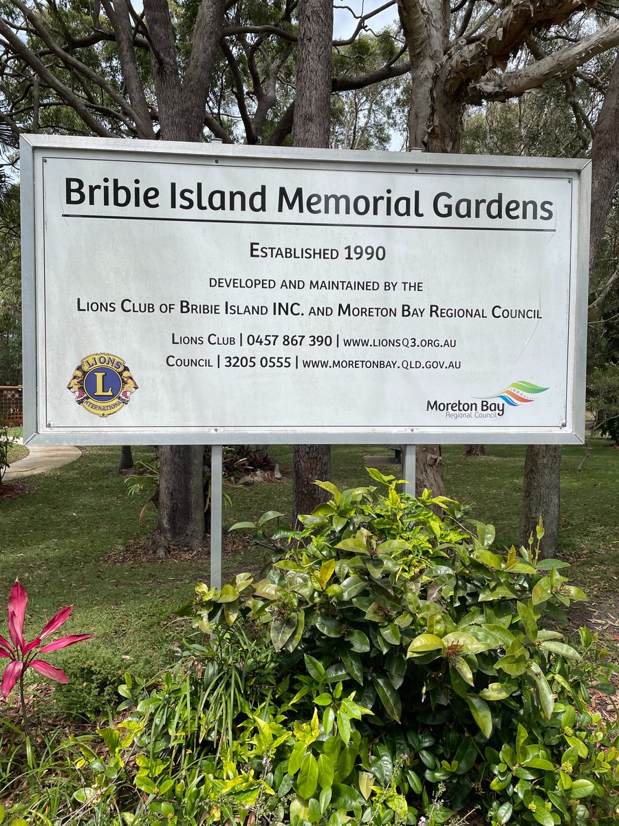 Shauna Hicks tweet media