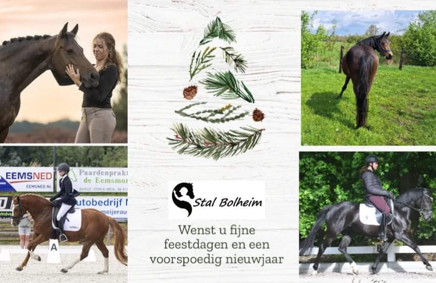 Stal Bolheim (@stalbolheim) on Twitter photo 