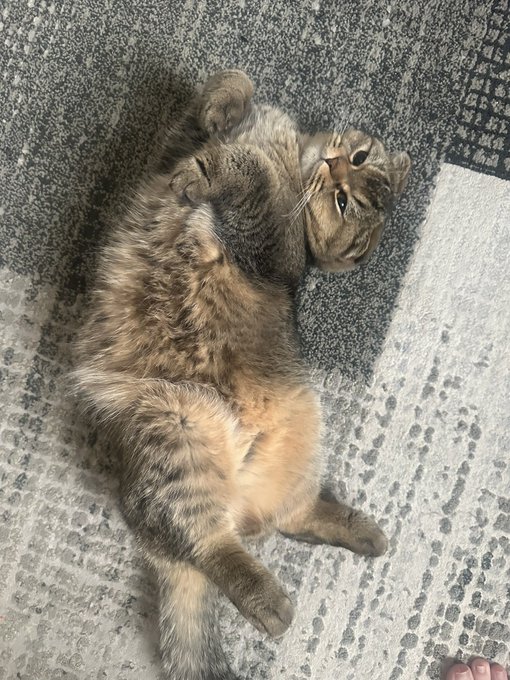 Watch Hannah Hedon's leaked NSFW photo on TwXstars