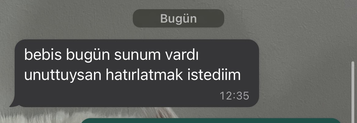 Benim akademik ilgi alaka tam olarak şuralarda