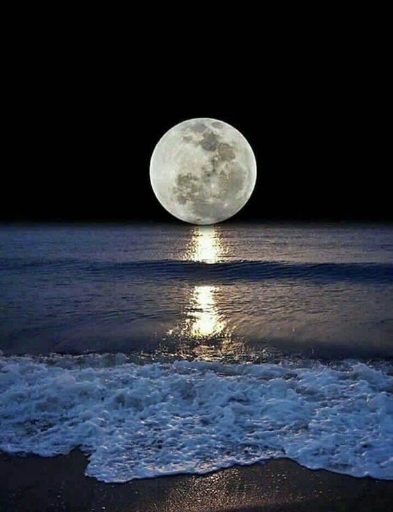 Goodnight dear friends !
#photos #photography #night #moonlight