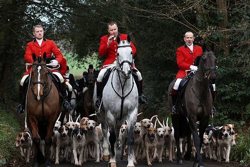 The Conservatives have threatened to legalise Fox Hunting because it will help with their grass roots support.

Like if it will destroy their support.
RT if you will never vote Conservative.