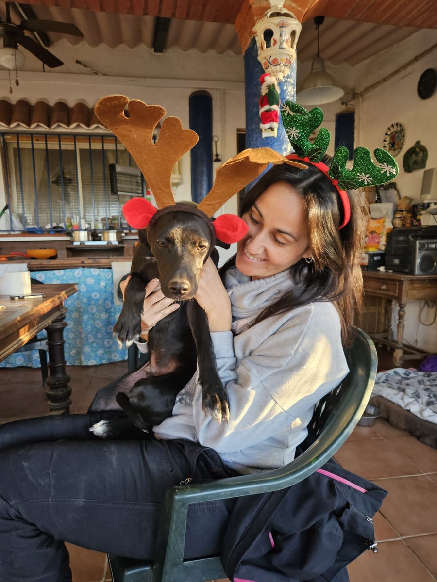 ColectivoDara's tweet photo. El mejor regalo que se puede hacer a los perretes de la calle es el RESCATE 🤗 Acoger un animal, cuidarlo y darle atención sanitaria y afectiva 💉🩺❤️ así que para celebrar la navidad hemos vuelto a @elrincondepeco junto a nuestras amigas de @hope4pets a vacunar, hacer (+) https://t.co/JYgYdWJCSQ