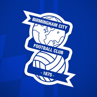 🚨🔵 Wayne Rooney has a 15% win percentage as Birmingham City manager. ❌

Just 9 points gained from a possible 39. They are now 19th in the Championship.