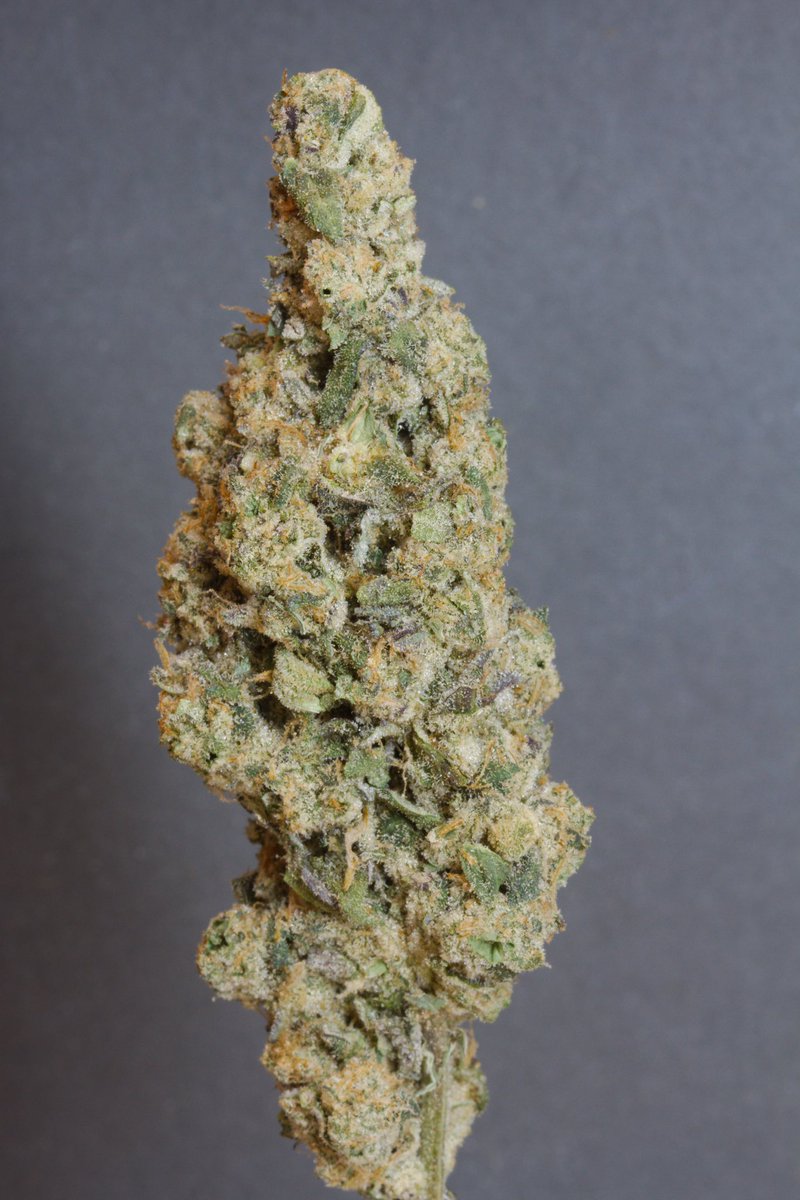 I’ve been thinking about my top 5 cannabis flowers of the year.

Here’s my list:

Herba Farms Frosted Cream Cake (<a href="/Herba_Farms/">Herba Farms</a>)
Black Kettle Farms Rainbow Driver (<a href="/BlackKettle20/">Black Kettle farms</a>)
1964 Romulan (<a href="/1964supplyco/">1964 Supply Co</a>)
Hazo Cali Biscotti (<a href="/PapersHazo/">HAZO Rolling Papers</a>)
Distinkt Lemon Razz (<a href="/DistinktC/">DISTINKT cannabis</a>)