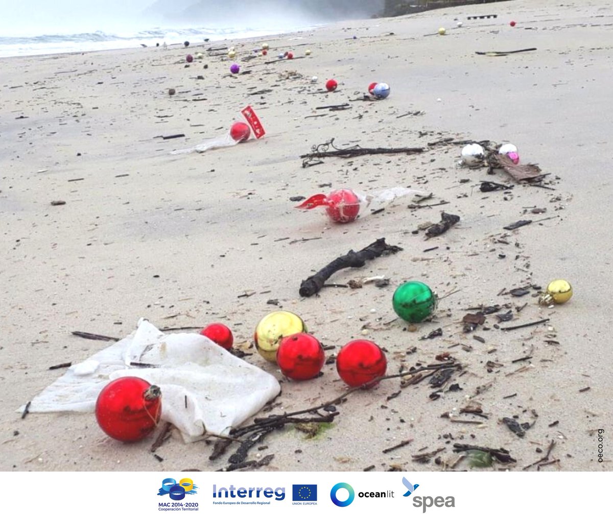 Oceanlitproject tweet media