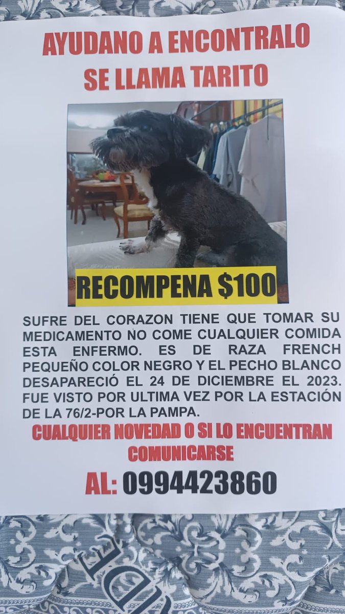 AlertaMePerdi's tweet photo. #PERDIDO #GUAYAQUIL
Nombre: #Tarito
Fecha: 2023-12-25
Sector: Sur,Por la playita
Sexo: Macho
Raza: Mestizo
Observación: Sufre del corazon y no puede caminar bien
Contacto: +15085075888
¡Ayúdalo a volver con su familia!
#AlertaMePerdí https://t.co/xntdsHUpUL
