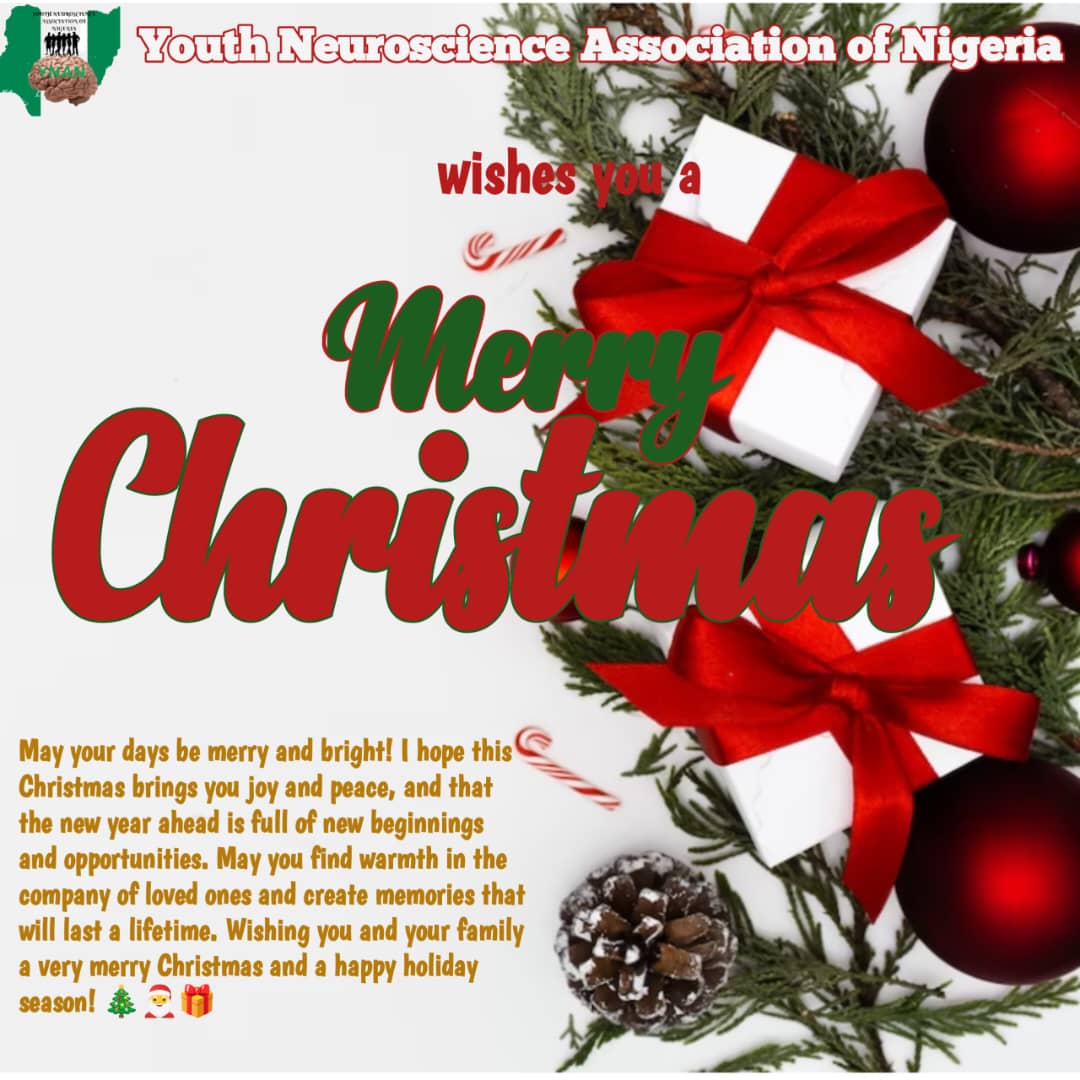 Wishing you a Christmas filled with warmth, joy, and the love of family and friends. May the spirit of the season bring peace to your hearts Merry Christmas! From all of us at Youth Neuroscience Association of Nigeria @SfNtweets @ChinnaOrish @dana_fdn @NSNSecretariat