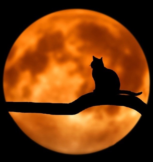 Wat is ze weeral "fel" aan het doen ginder boven ... 😎
( Volle Maan komt eraan...)  💥💫✨