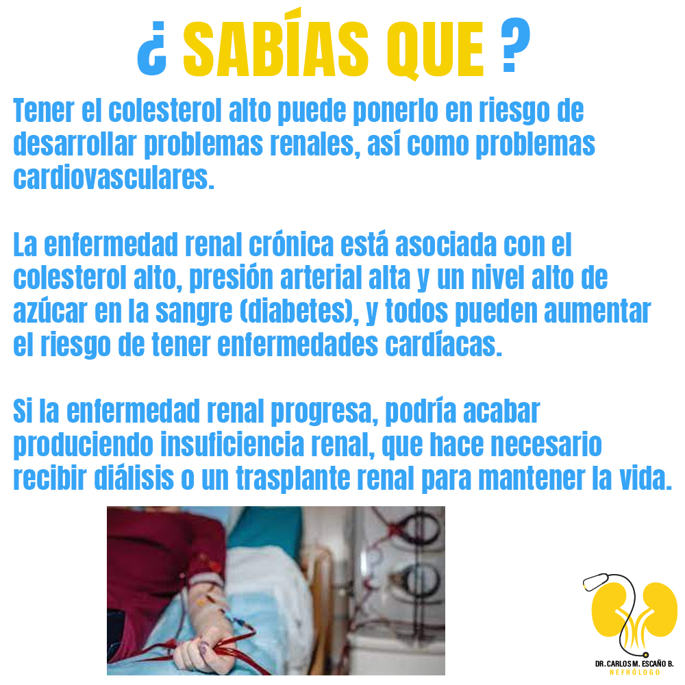 La enfermedad renal crónica (ERC) es una pérdida de la función renal que se produce gradualmente, y que lleva produciéndose 3 o más meses.