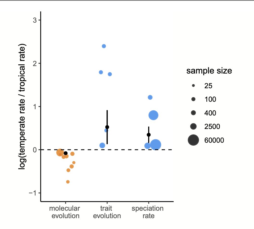 more evidence that evolution isn't fastest in the tropics, royalsocietypublishing.org/doi/10.1098/rs… need to add another data point to my plot from my 2022 review! onlinelibrary.wiley.com/doi/abs/10.111…