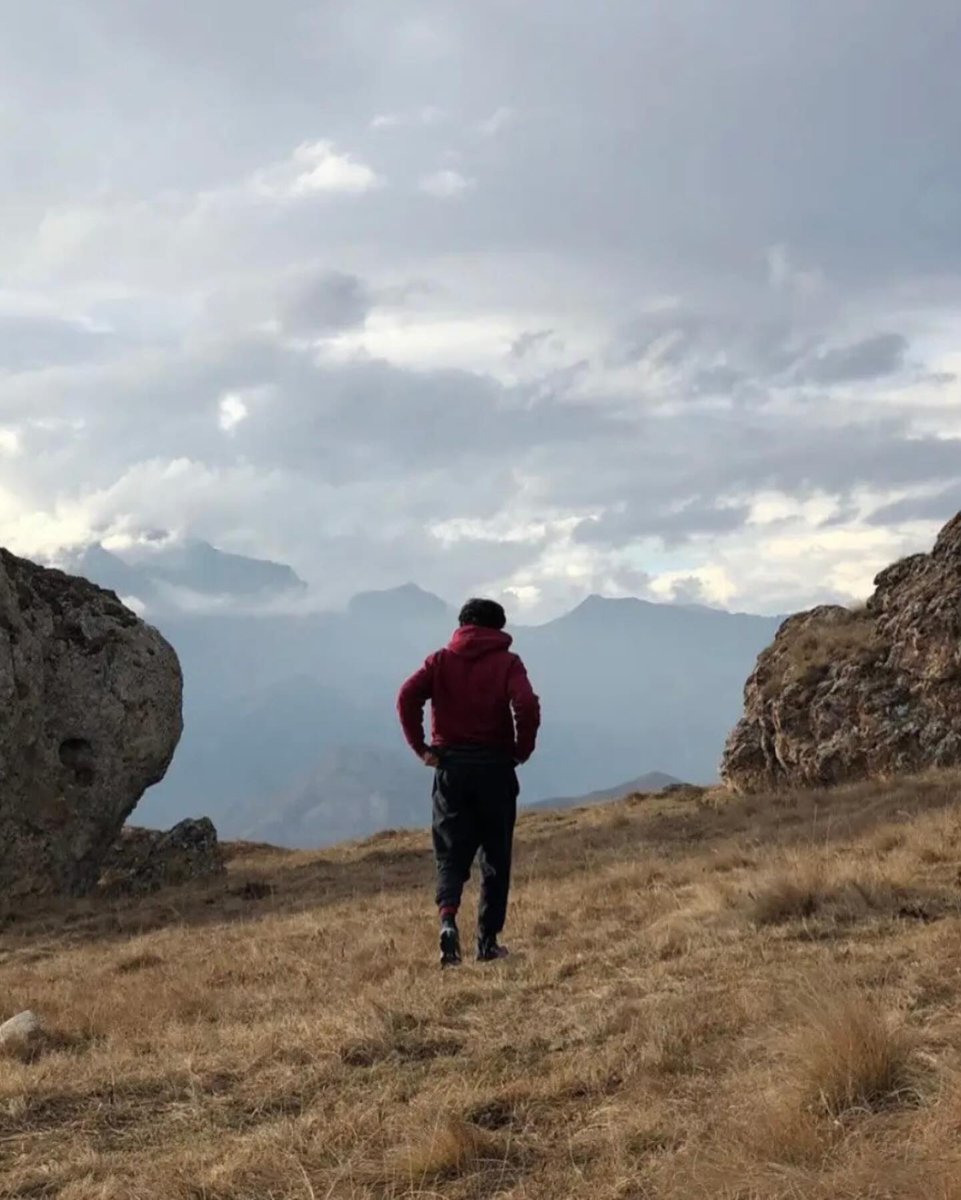 Home_of_Fight's tweet photo. Retired Zabit found peace in nature... 🌳 https://t.co/VdteLJk4po