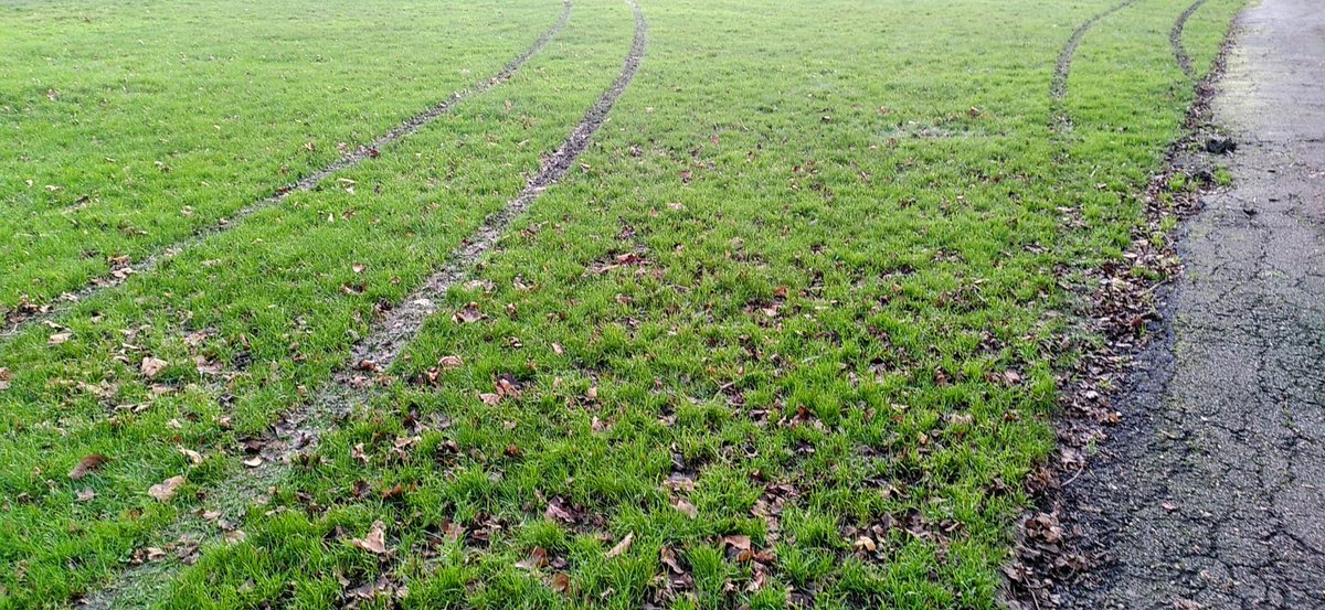 rlbarnard tweet media