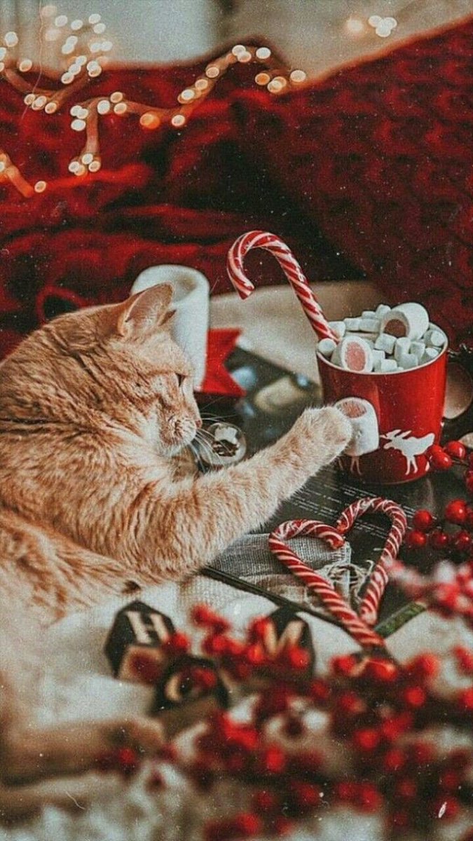 Picture Planet 🇧🇷🦂 tweet media