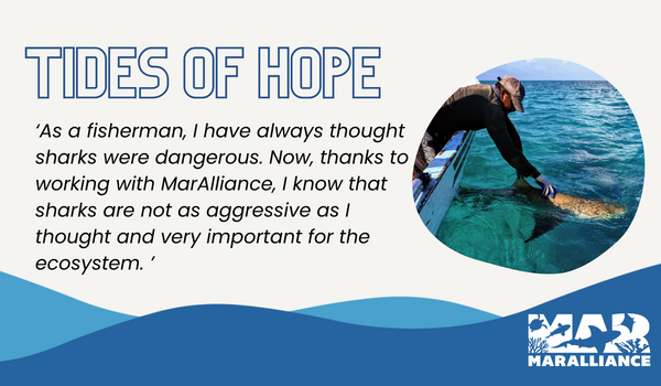 MarAlliance tweet media