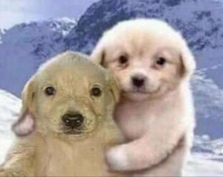 MiguelVar6's tweet image. @ElZeeeein   Estamos full RKT 🔥🇵🇪🔥🤙 #ElZeeinExtensible2023