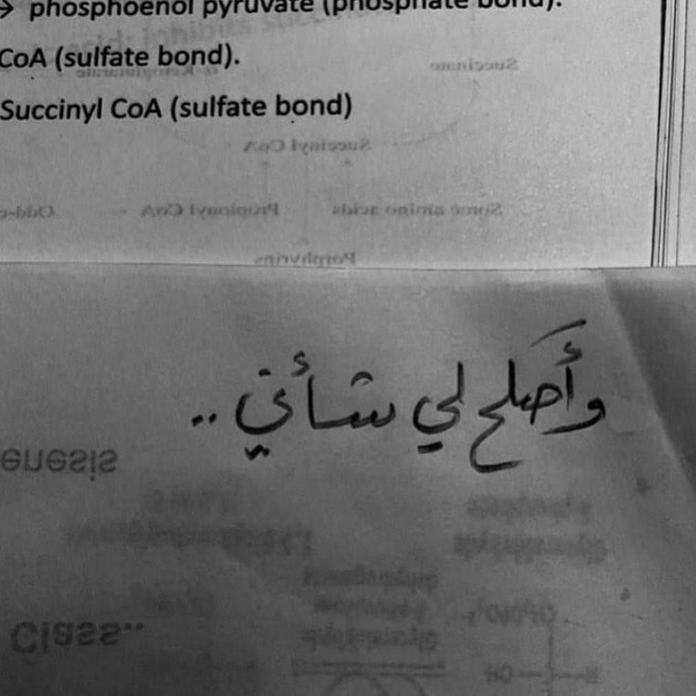 avi14_'s tweet photo. "وأصلح لي شأني كله، شأني كله يا الله." https://t.co/MKKEw7Uv5f