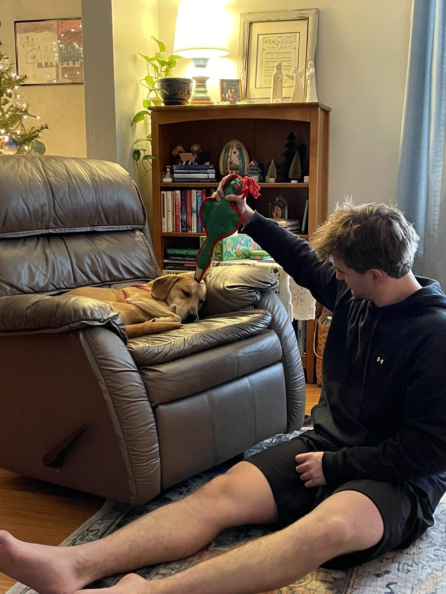 sdevans6's tweet photo. Holidays are tiring. https://t.co/y8ALWGkQhy