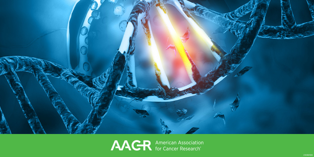DNA Repair Pathways: Maria Jasin, Michael B. Yaffe, and Andre Nussenzweig will address this topic in a plenary session at the AACR Special Conference on DNA Damage Repair (January 9-11, Washington, DC). Learn more: bit.ly/3NLylS7 #AACRddr24 @mbyaffe @nussenza
