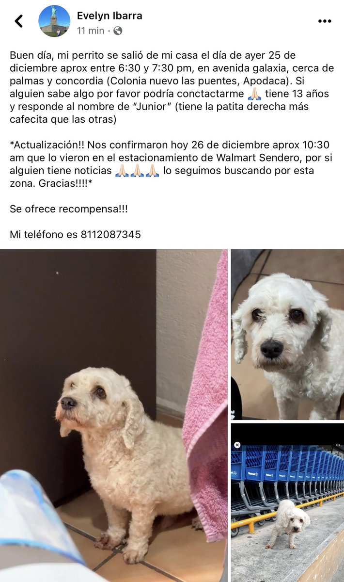 Eveibarrag's tweet photo. Por favor si alguien tiene información!!! La última vez que lo vieron fue en Walmart sendero, por avenida República Mexicana https://t.co/gsl2VY2dNm