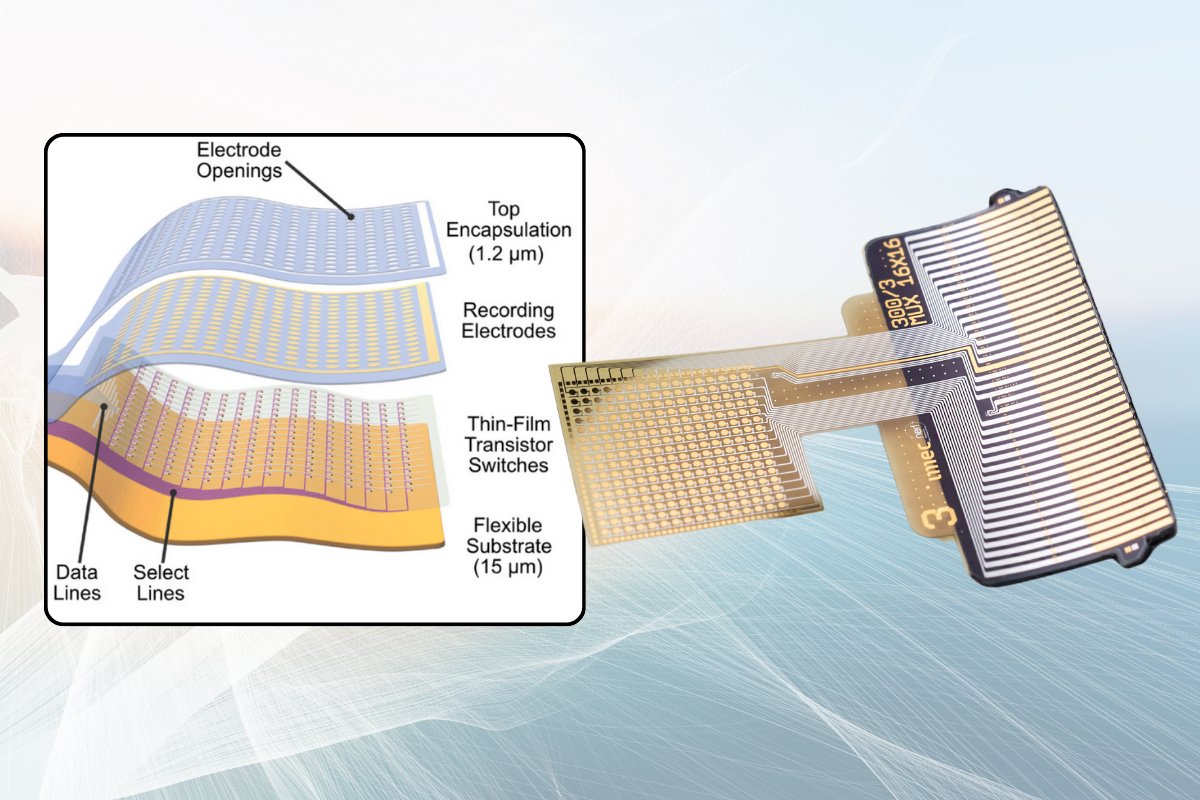 NERF (@__nerf) on Twitter photo 🙌 Good news as 2023 draws to a close! The <a href="/sebhaesler/">Sebastian Haesler</a> lab's latest paper is out, on a µECoG implant incorporating metal oxide thin-film transistors into a flexible electrode array. The proposed neural interface overcomes the existing wiring bottleneck.
onlinelibrary.wiley.com/doi/10.1002/ad… 🙌 Good news as 2023 draws to a close! The <a href="/sebhaesler/">Sebastian Haesler</a> lab's latest paper is out, on a µECoG implant incorporating metal oxide thin-film transistors into a flexible electrode array. The proposed neural interface overcomes the existing wiring bottleneck.
onlinelibrary.wiley.com/doi/10.1002/ad…